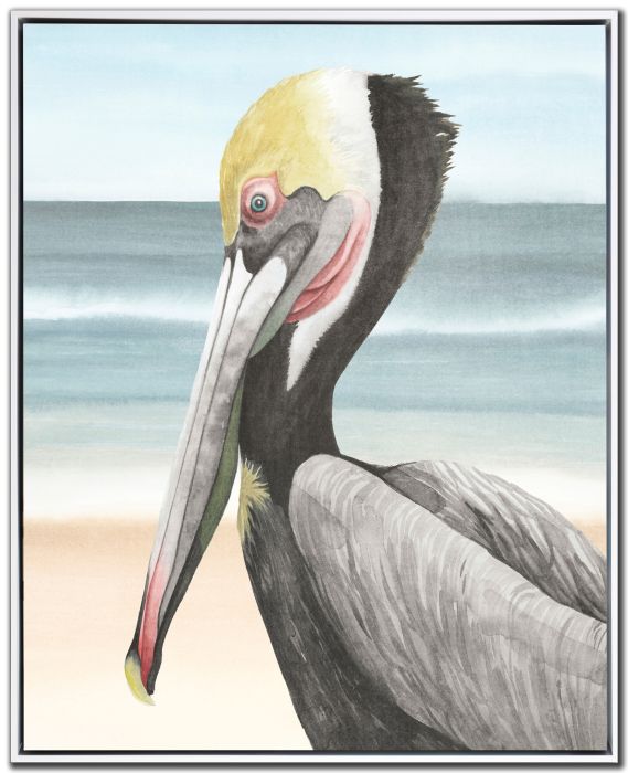 Pelican Beach II