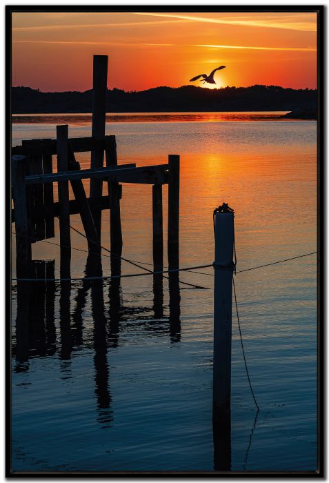 Sunrise Sentinels
