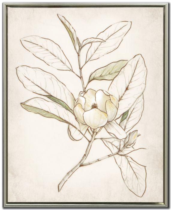 Botanical I