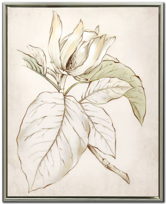 Botanical II