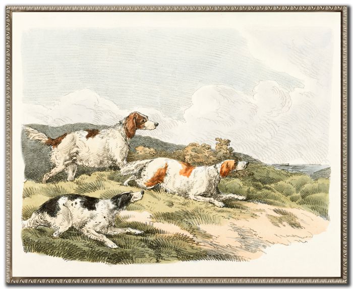 Hounds on the Hunt I