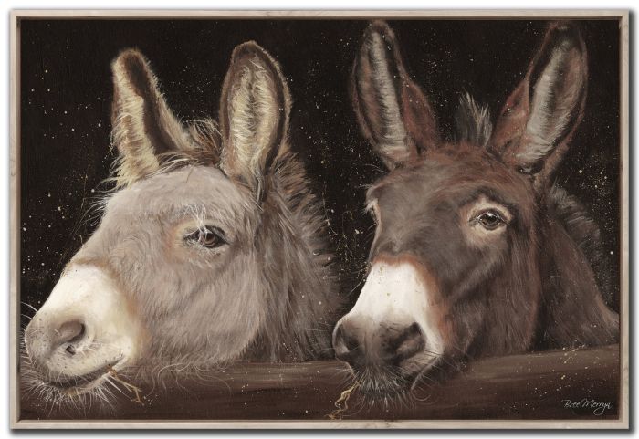Gentle Companions