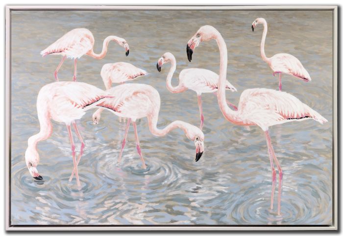 Flamingoes