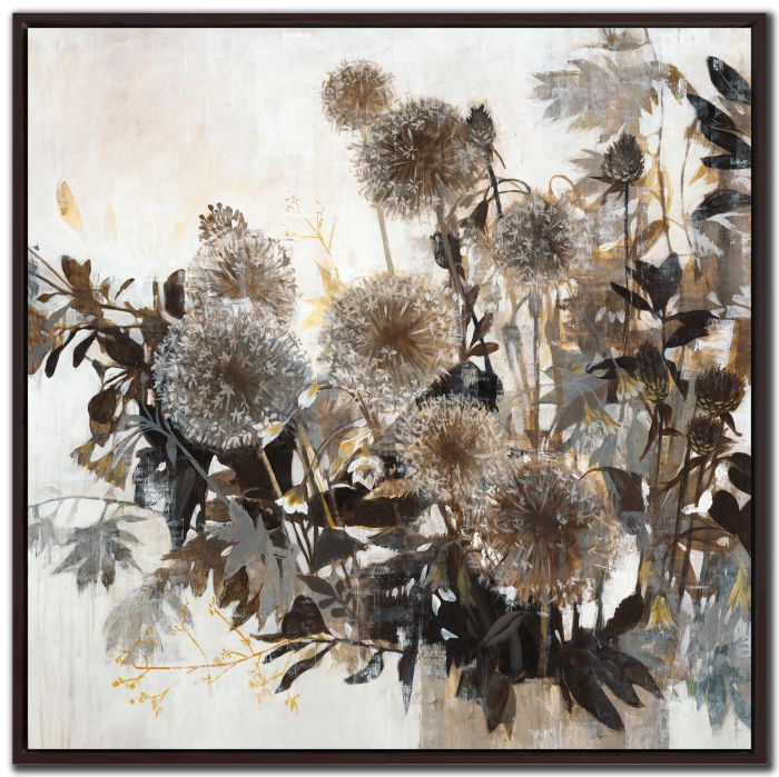 Dandelion Dreams