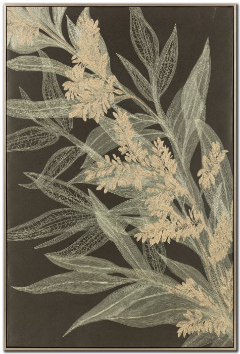 Midnight Herbarium II