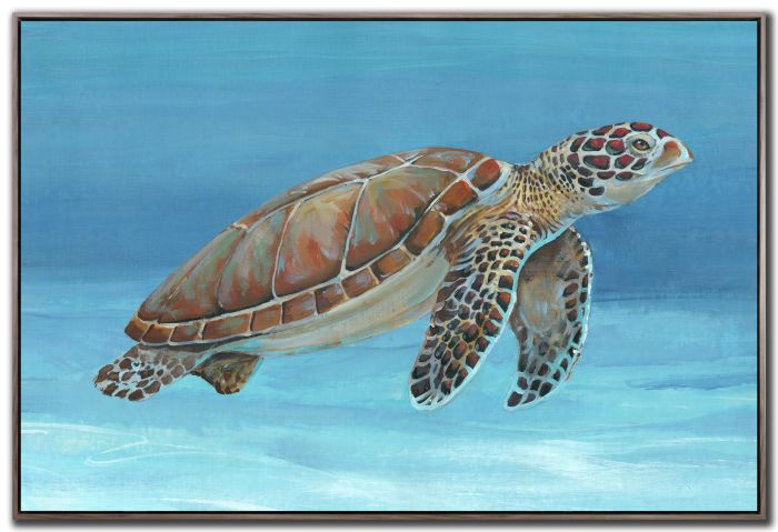 Ocean Sea Turtle