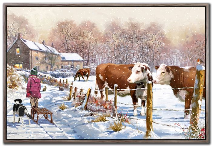 Christmas Cattle