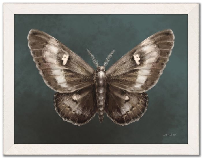 Elegant Moth I