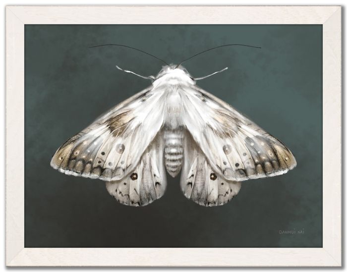 Elegant Moth II