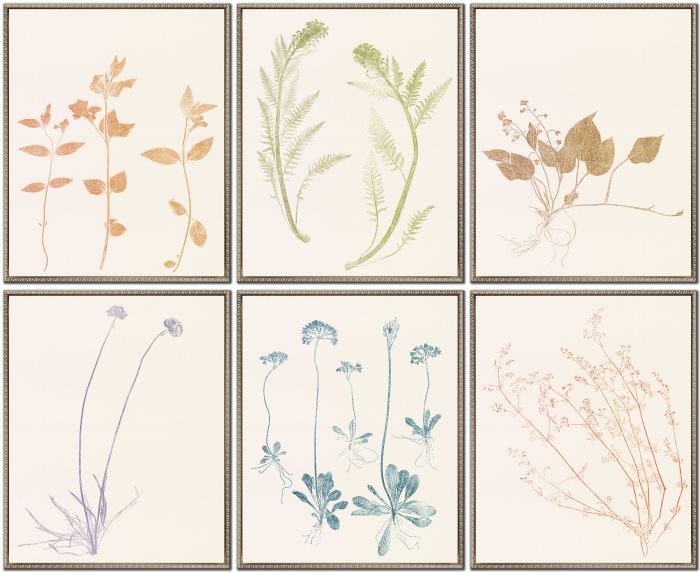 Floral Trace Set of 6