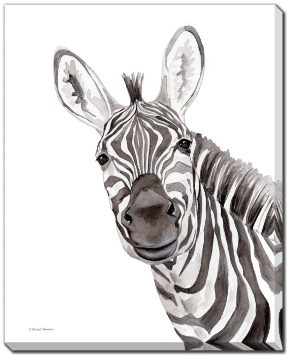 Safari Zebra Peek-a-boo
